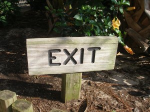 Exit strategies to emotional eating