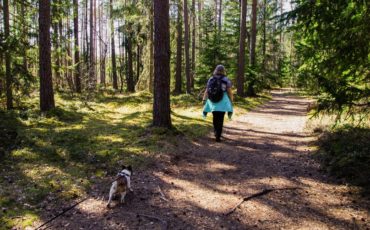 Walking through forest