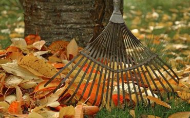 Blog image: raking leaves