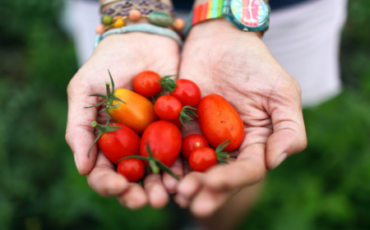 Garden produce