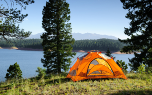 A tent on the side of a hill overlooking tall trees and the water