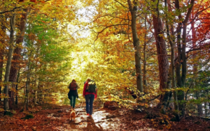 a couple takes a hike with their dog during Autumn