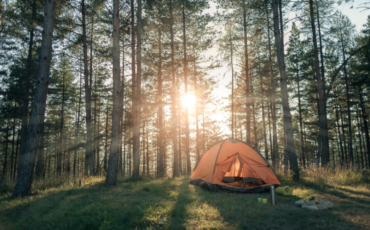 Image of camping tent in the woods