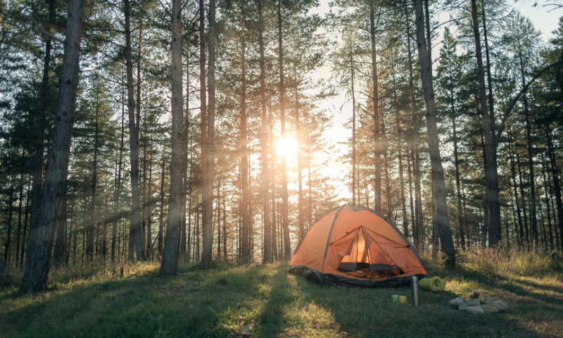 Image of camping tent in the woods